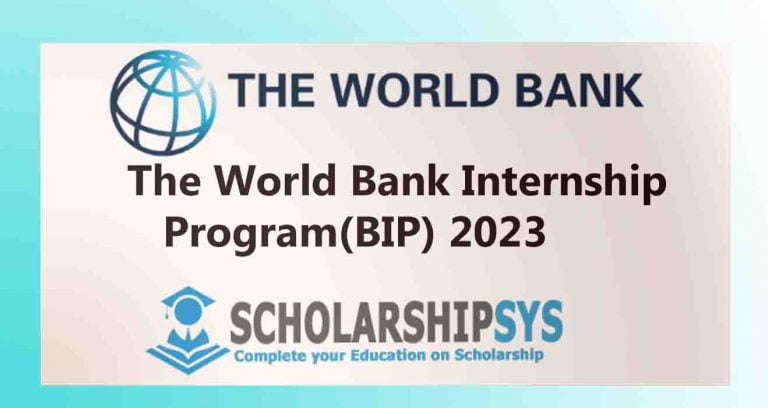 The World Bank Business Internship Program (BIP) 2023